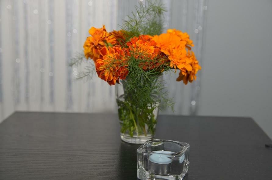 Skalka Apartamento